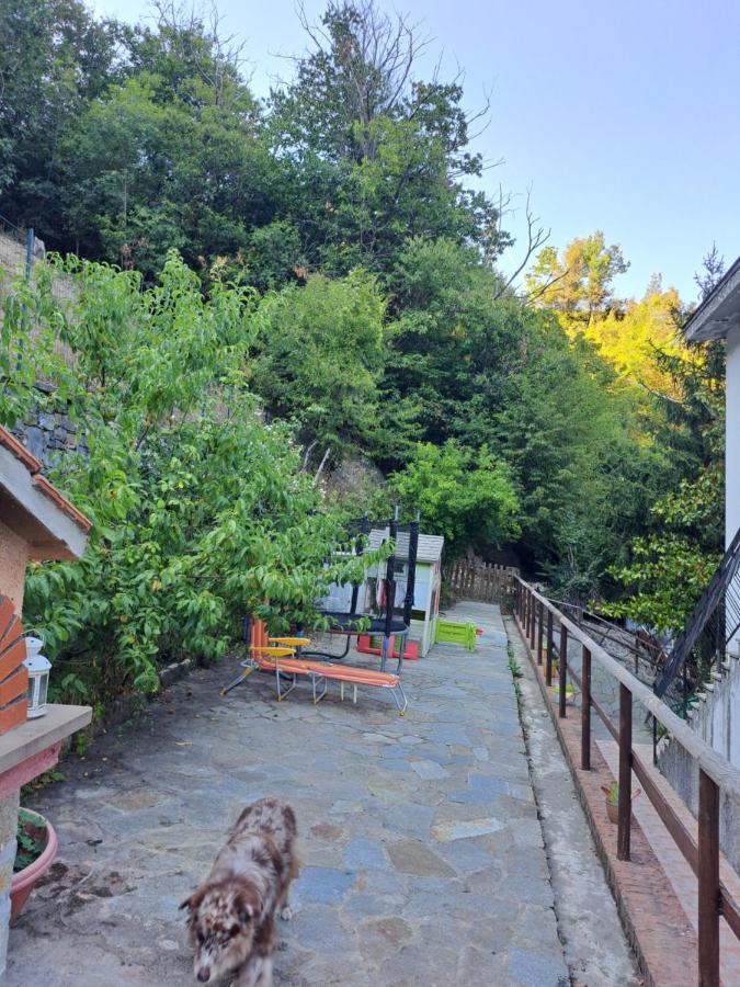 The Giaggiolo'S House Serra Rocco Exterior foto